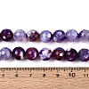 Dyed & Heated Natural Fire Crackle Agate Beads Strands G-N359-01B-07-5