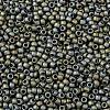 TOHO 8/0 Round Beads SEED-TR08-0613-2