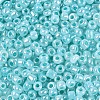 8/0 Glass Seed Beads SEED-US0003-3mm-154-2
