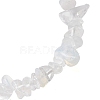 Opalite Chip Beaded Stretch Bracelets for Women Men BJEW-JB10665-05-4