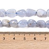 Nautral Blue Lace Agate Beads Strands G-H330-A01-5