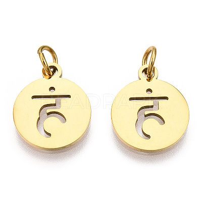 304 Stainless Steel Charms STAS-Q201-T446G-01-1
