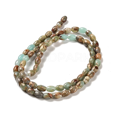 Natural Aqua Terra Jasper Beads Strands G-F765-I01-01-1