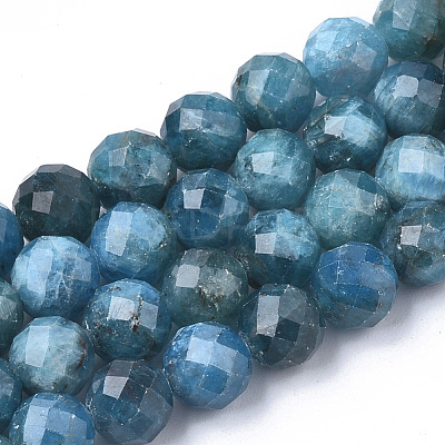 Natural Apatite Beads Strands G-S345-10mm-008-1