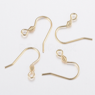 304 Stainless Steel Earring Hooks STAS-G179-45G-1