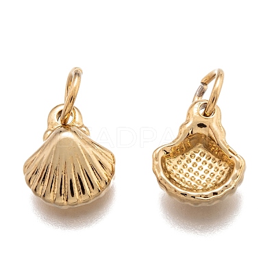 304 Stainless Steel Charms STAS-J036-049G-1