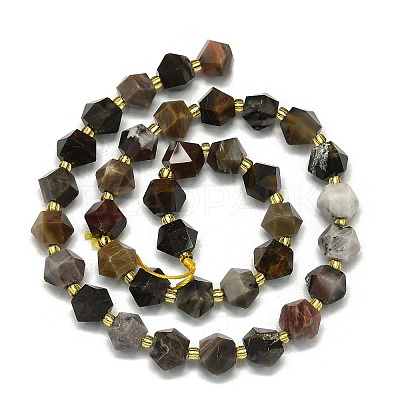 Natural Petrified Wood Beads Strands LS-G-I376-A30-01-1