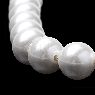 Shell Pearl Beads Strands X-BSHE-S301-8mm-04-1