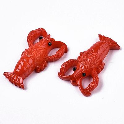 Resin Pendants X-RESI-R426-01-1