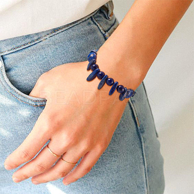 4 Strands 4 Style Natural Lapis Lazuli Beads Strands G-KS0001-12-1