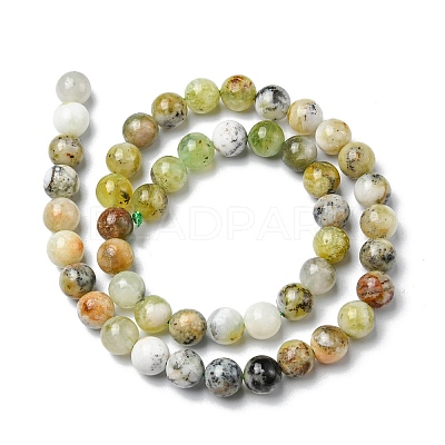 Natural Green Opal Beads Strands G-C029-02A-1