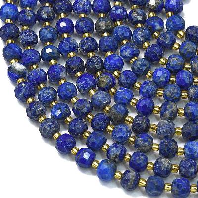 Dyed Natural Lapis Lazuli Beads Strands G-K389-E63-01-1