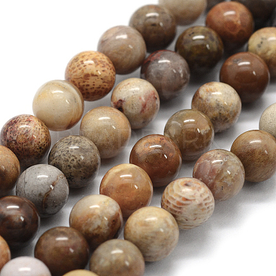 Natural Fossil Coral Beads Strands X-G-G763-12-8mm-1