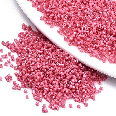 FGB 11/0 Grade A Baking Paint Glass Seed Beads X-SEED-S030-1034-1