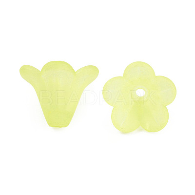 Frosted Acrylic Beads PL692-14-1