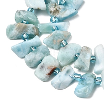 Natural Larimar Beads Strands G-L649-A08-01-1