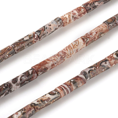 Natural Leopard Skin Jasper Beads Strands X-G-F247-27-1