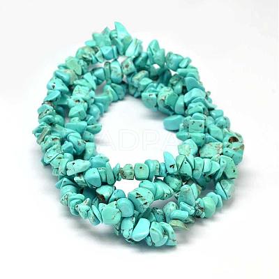 Dyed Natural Magnesite Chips Beads Strands G-L454-06-1