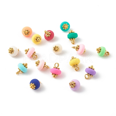 Handmade Polymer Clay Charms PALLOY-JF00747-1