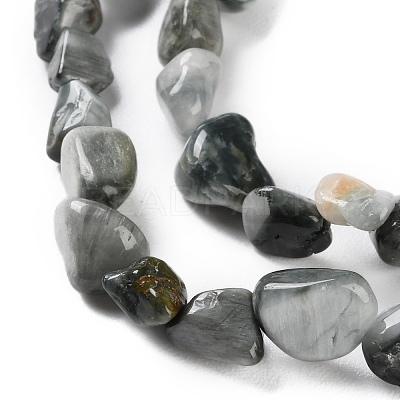 Natural Eagle Eye Stone Beads Strands X-G-P497-01C-52-1