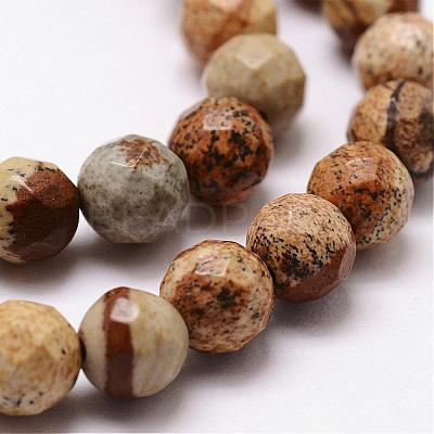 Natural Picture Jasper Beads Strands G-D840-47-8mm-1