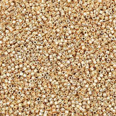 MIYUKI Delica Beads SEED-MY11-DB2501-1