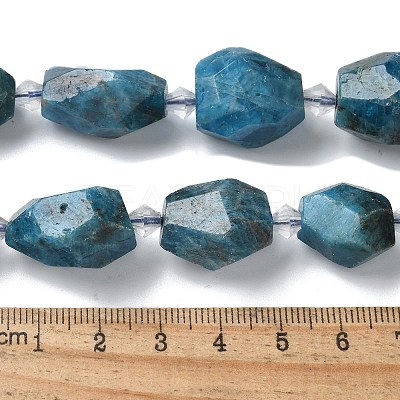 Natural Apatite Beads Strands G-H095-A04-01-1