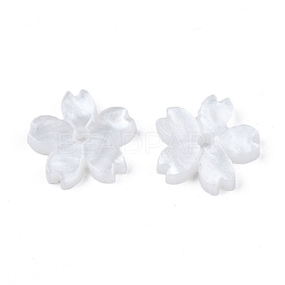Opaque Acrylic Beads SACR-S273-31H-1