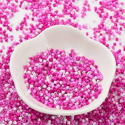 Baking Paint Glass Seed Beads X-SEED-S042-05B-47-1