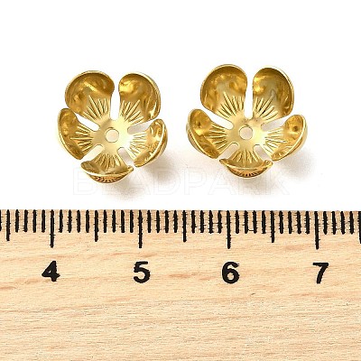304 Stainless Steel Bead Caps X1-STAS-B087-10D-G-1