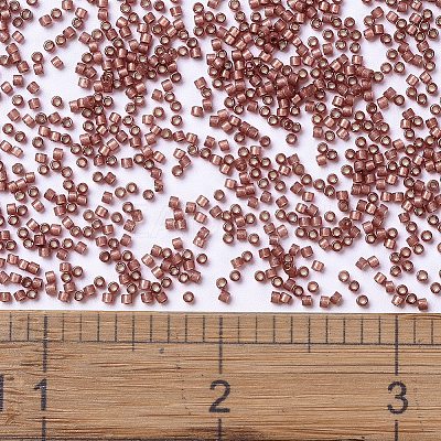 MIYUKI Delica Beads SEED-X0054-DB2179-1