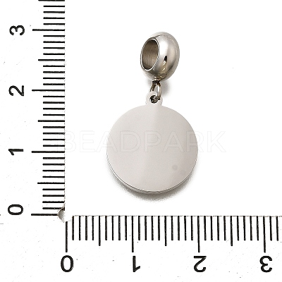 Jewelry 304 Stainless Steel European Dangle Charms OPDL-L013-40B-1