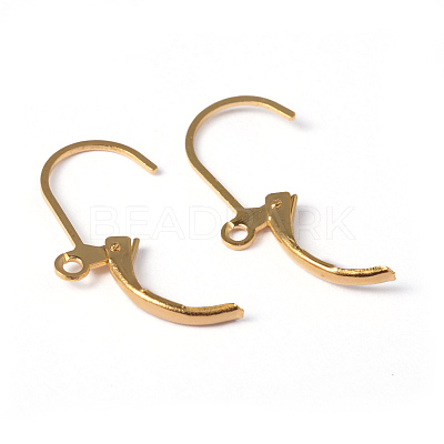 Brass Leverback Earring Findings EC223-G-1