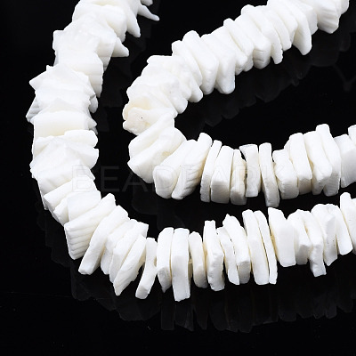 Natural White Shell Beads Strands X-SSHEL-S266-029-1