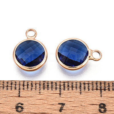 Golden Tone Brass Glass Charms GLAA-ZX008-24C-G-1