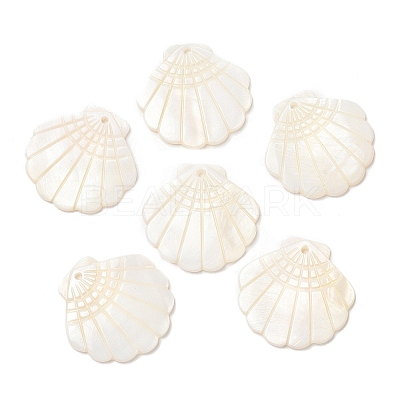 Natural Freshwater Shell Pendants X-SHEL-F007-20-1