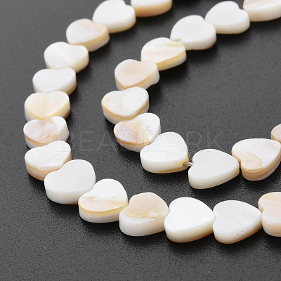 Natural Freshwater Shell Beads Strands SHEL-S276-70-1