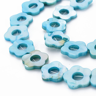 Freshwater Shell Beads Frames Strands SHEL-T009-14B-1