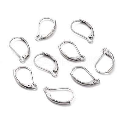 Non-Tarnish 304 Stainless Steel Leverback Earring Findings STAS-K233-04P-1