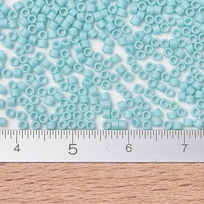 MIYUKI Delica Beads Small SEED-X0054-DBS1595-1
