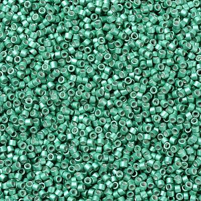MIYUKI Delica Beads X-SEED-J020-DB1182-1