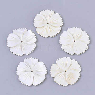 Freshwater Shell Beads SHEL-T016-04-1