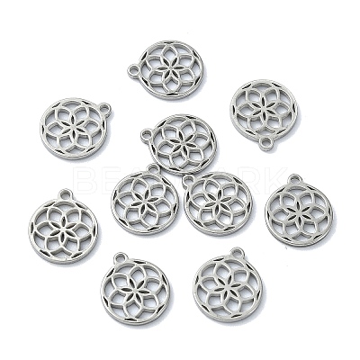 304 Stainless Steel Charms STAS-CJC0008-21P-1