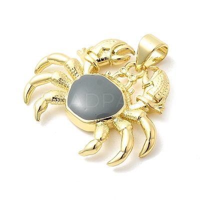 Brass Enamel Pendants KK-H529-44G-1