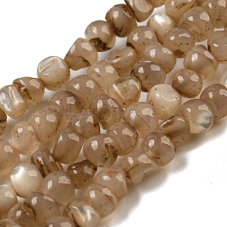 Natural White Shell Dyed Beads Strands BSHE-Z005-03A-1