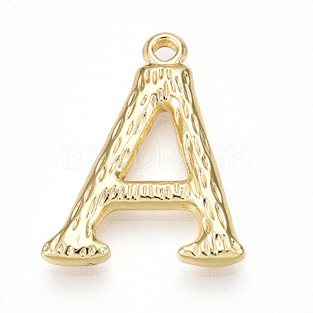 304 Stainless Steel Pendants STAS-N117-01G-A-1