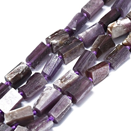 Natural Lepidolite Beads Strands G-O170-130-1