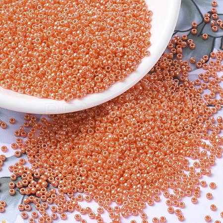 MIYUKI Round Rocailles Beads SEED-X0054-RR0424-1