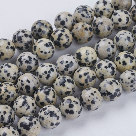 Natural Dalmation Jasper Beads Strands X-G-G515-10mm-06-1
