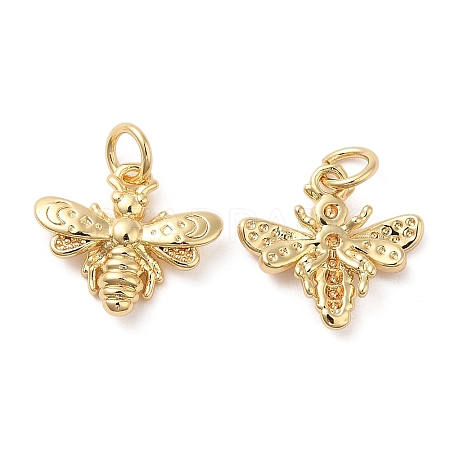 Rack Plating Brass Charms X-KK-I706-02G-1